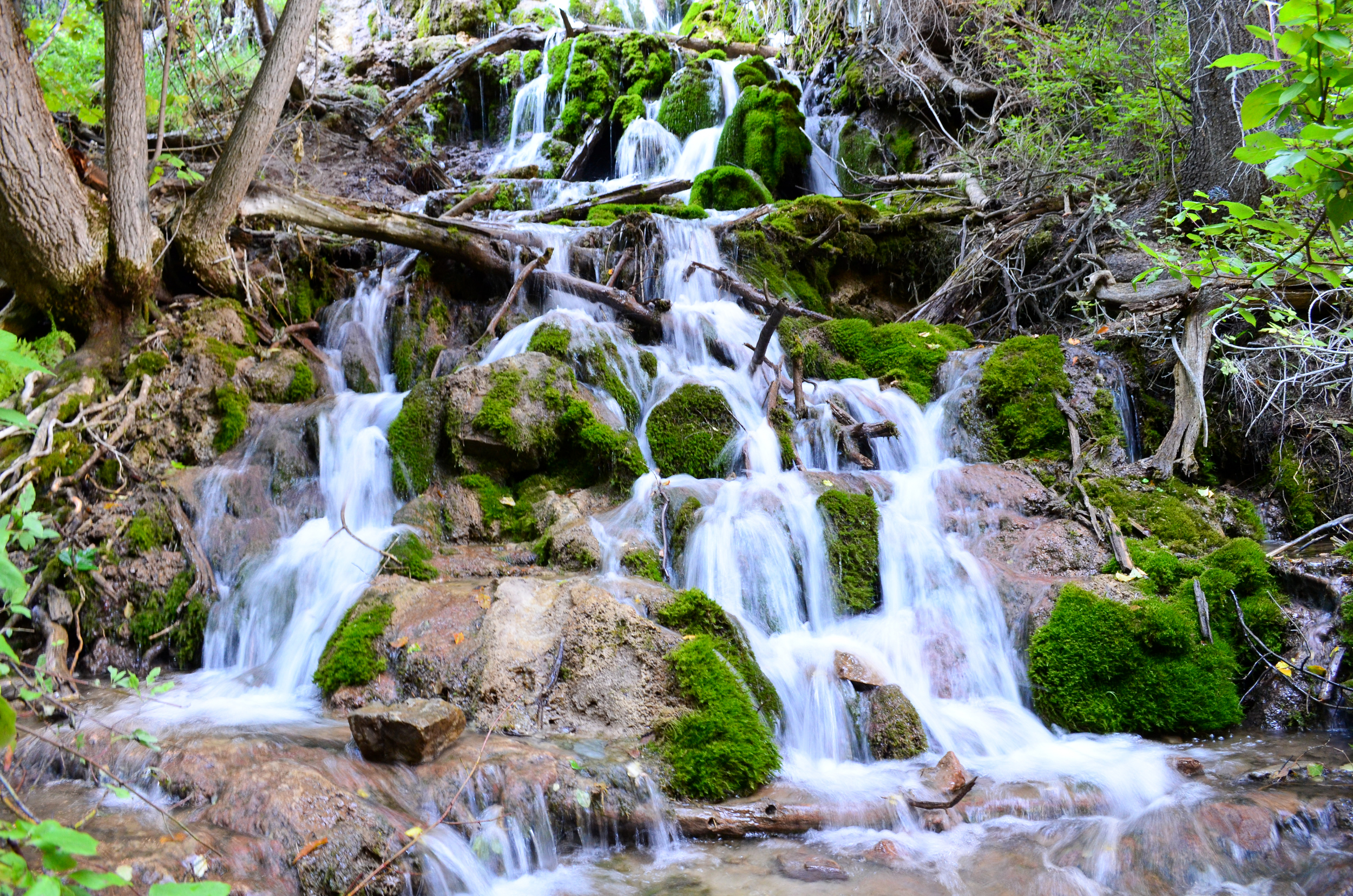 DSC_0518.jpg