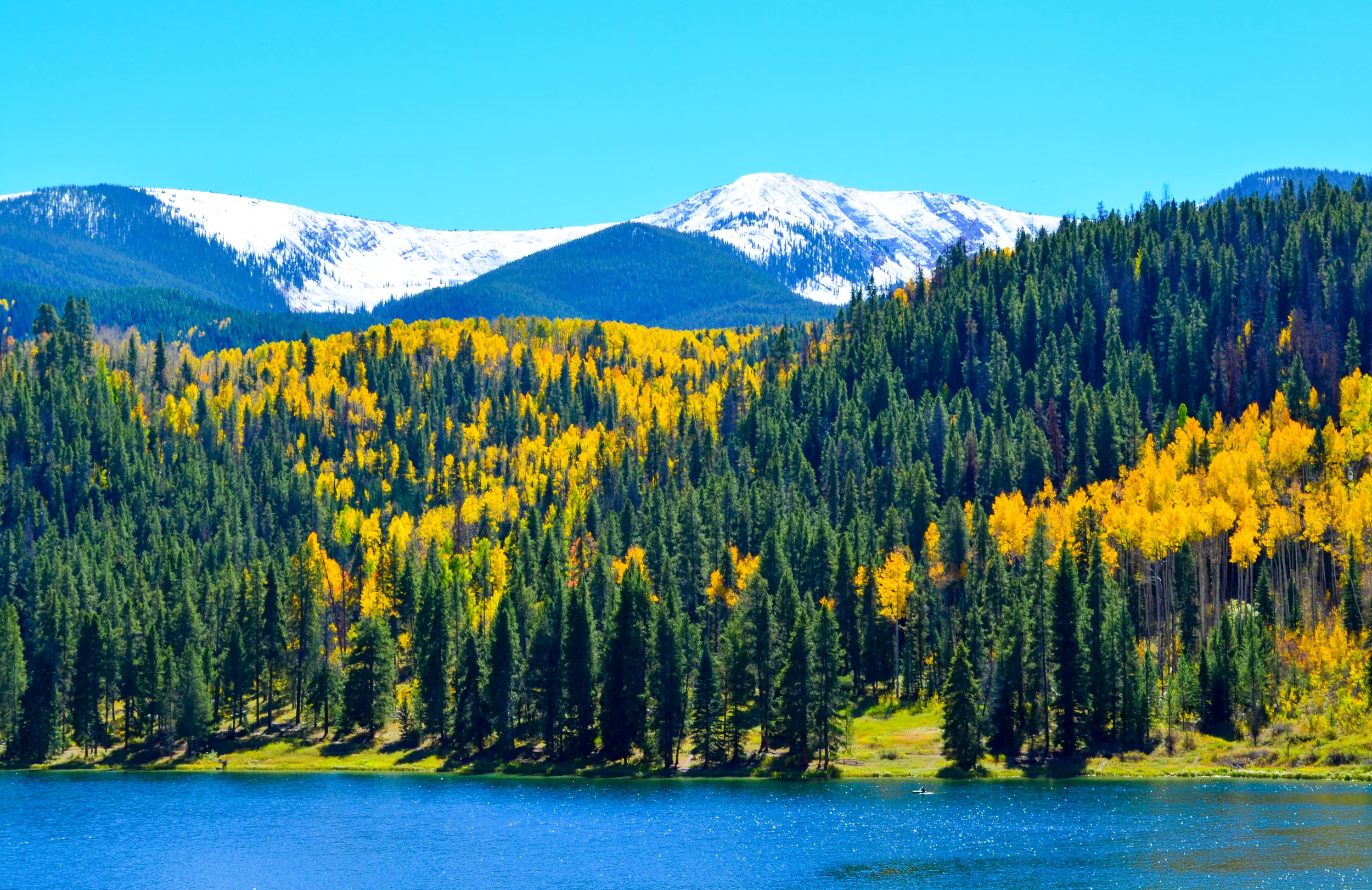 DSC_0540.jpg