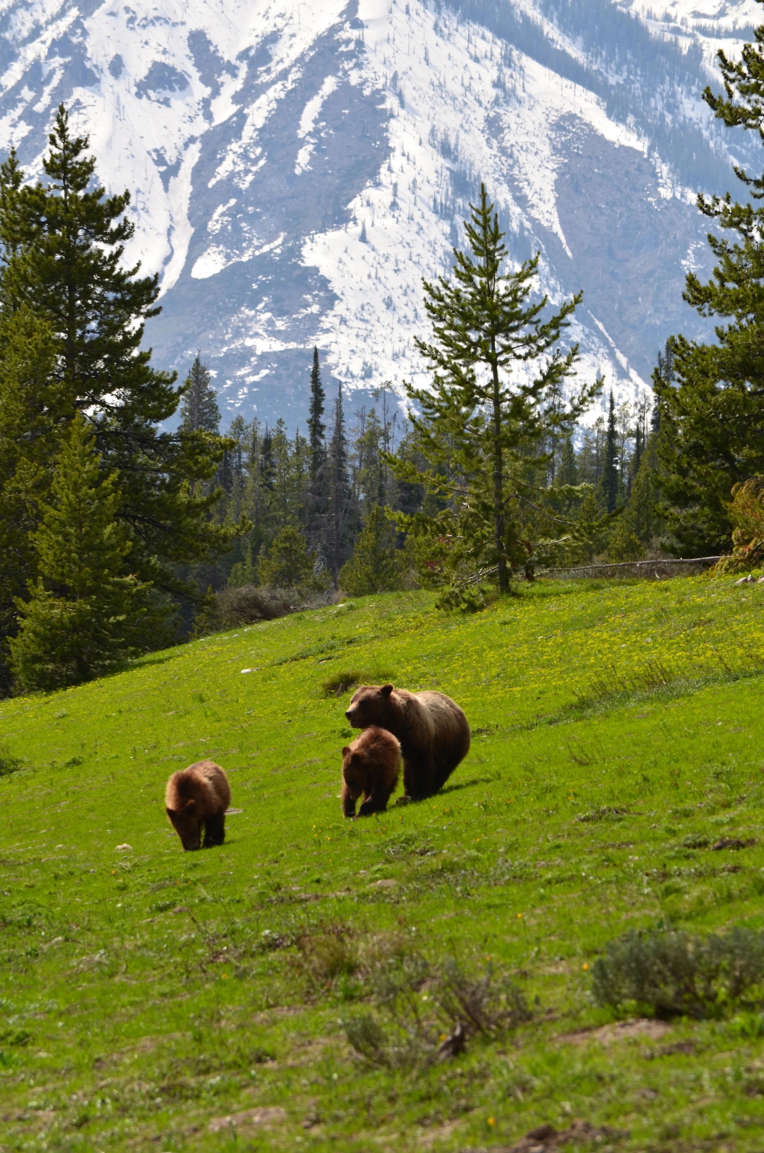 DSC_0525.jpg