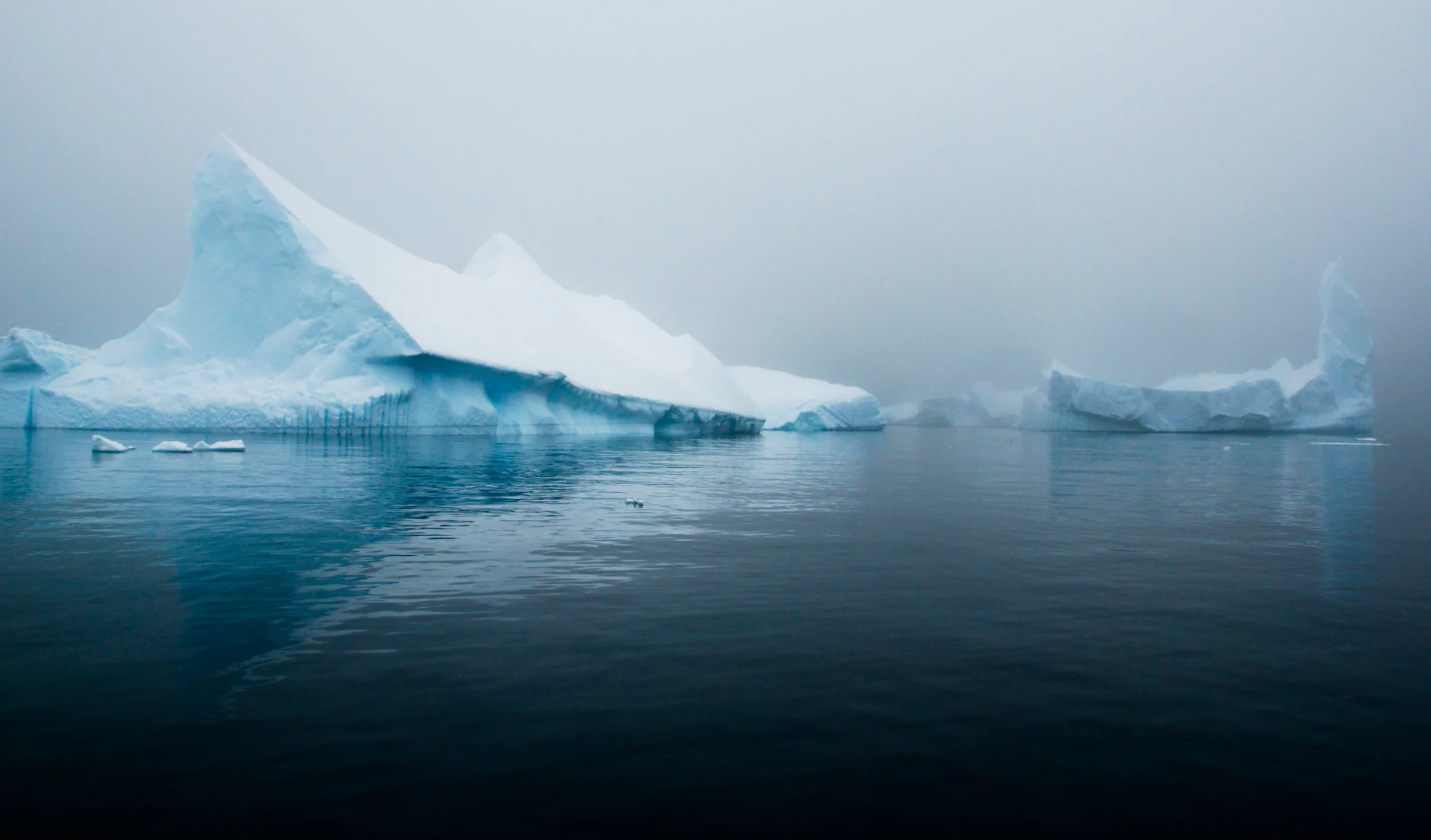 Julie-Jira_2015_PS_Antarctica-2.jpg