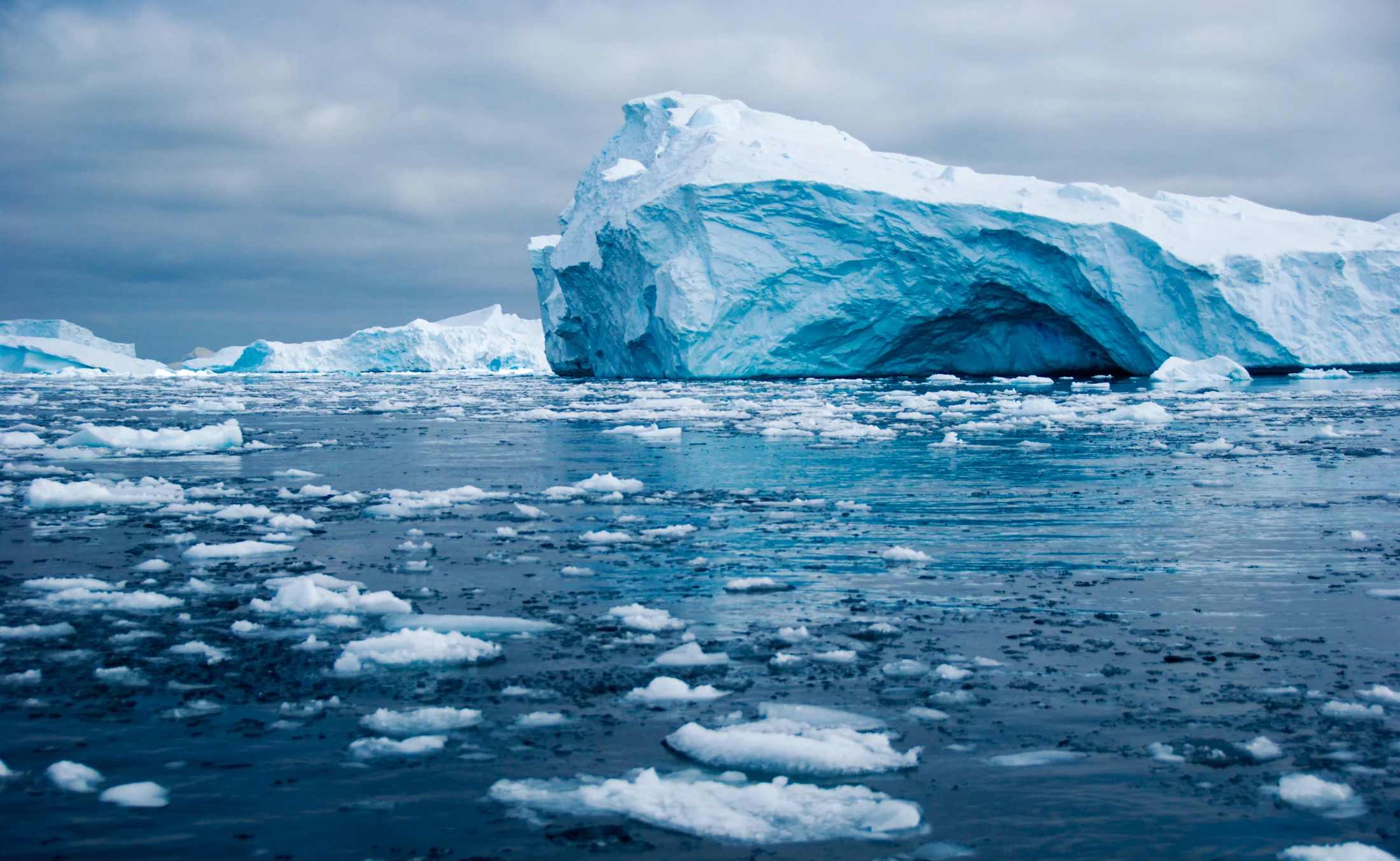 Julie-Jira_2015_PS_Antarctica-3.jpg