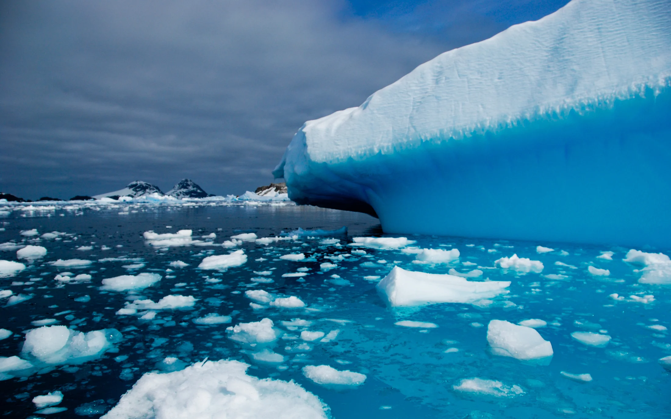Julie-Jira_2015_PS_Antarctica-6.jpg