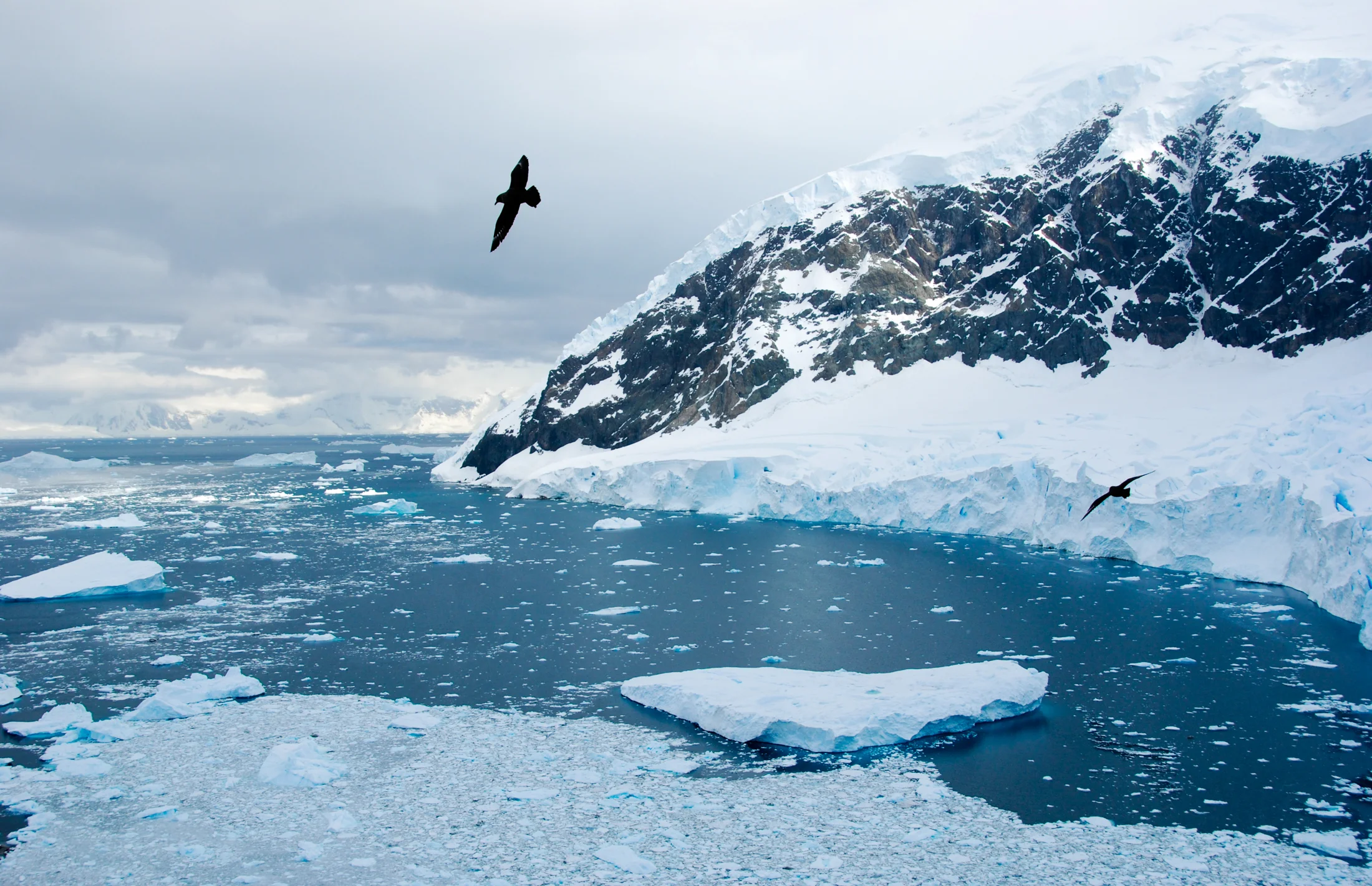 Julie-Jira_2015_PS_Antarctica-8.jpg