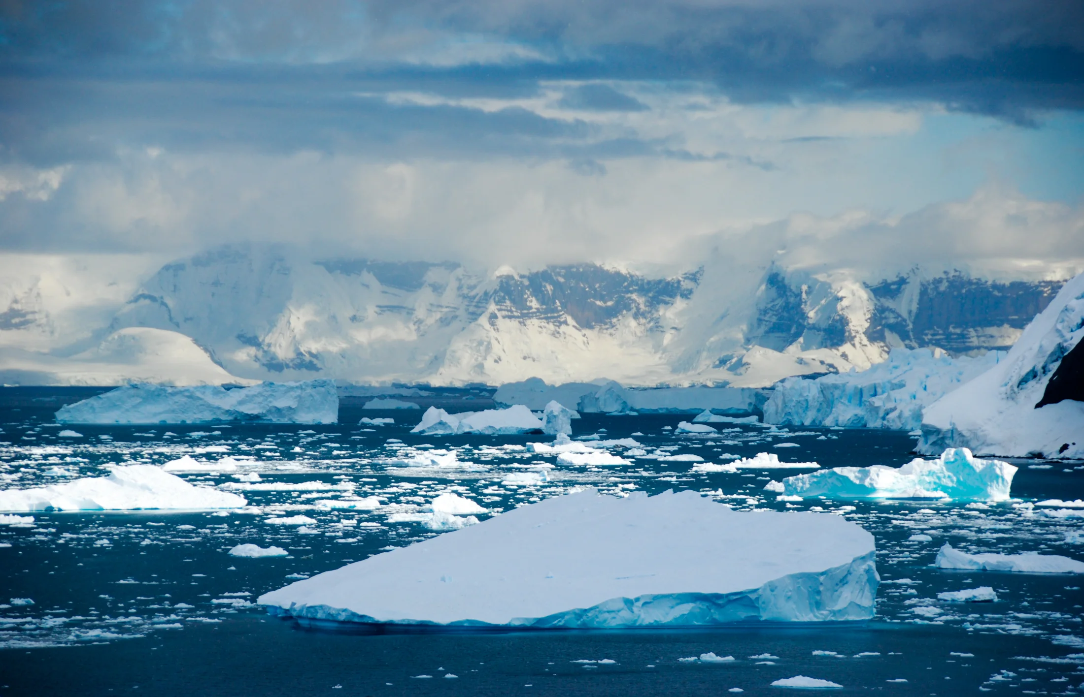 Julie-Jira_2015_PS_Antarctica-9.jpg