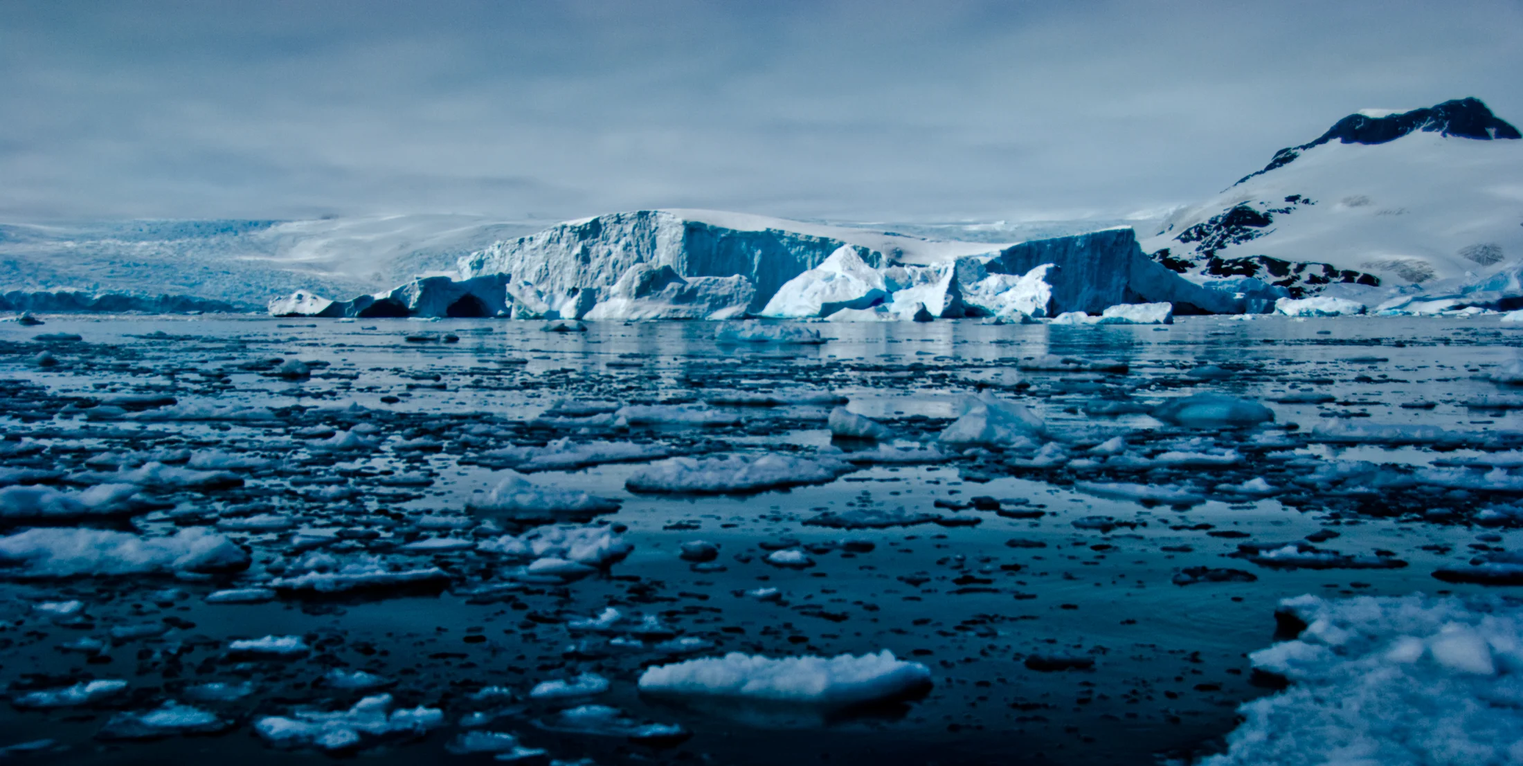 Julie-Jira_2015_PS_Antarctica-11.jpg