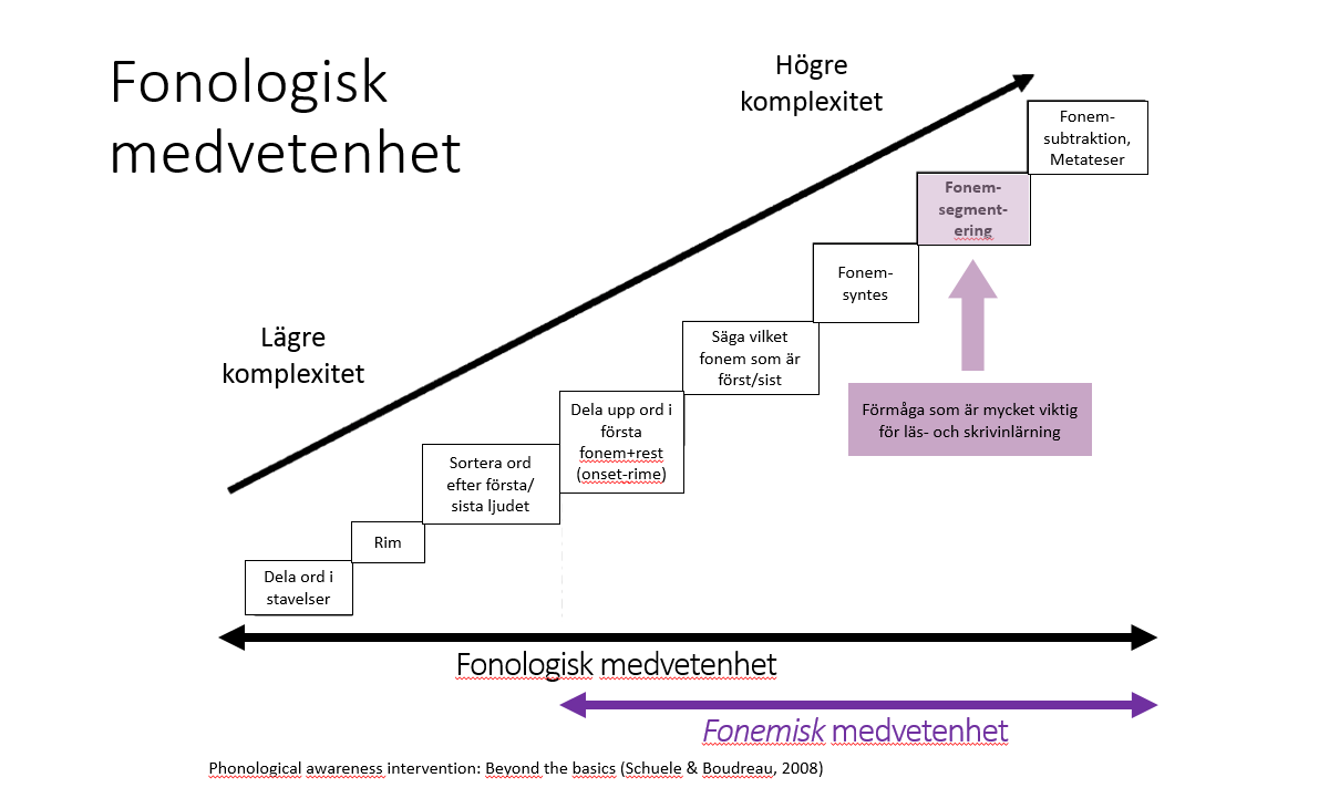 Fonologisk medvetenhet och uppgifter med ökande komplexitet för att testa och behandla fonologisk medvetenhet. För elever i förskoleklass och uppåt bör fokus vara på uppgifter i fonemisk medvetenhet. (Figuren är min översättning av Figur 1, Schuele & Boudreau (2008), s. 6.)