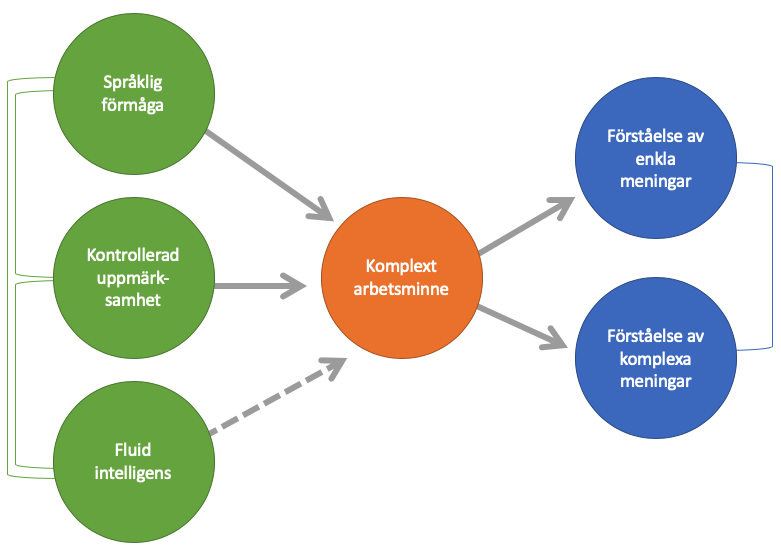 En förenklad figur av en “structural equation model” där alla linjer/pilar visar signifikanta samband och sambandets riktning (se figur 5 i Gillam et al. 2019 för att se originalfiguren där också latenta variabler och kontrollvariabler finns med).