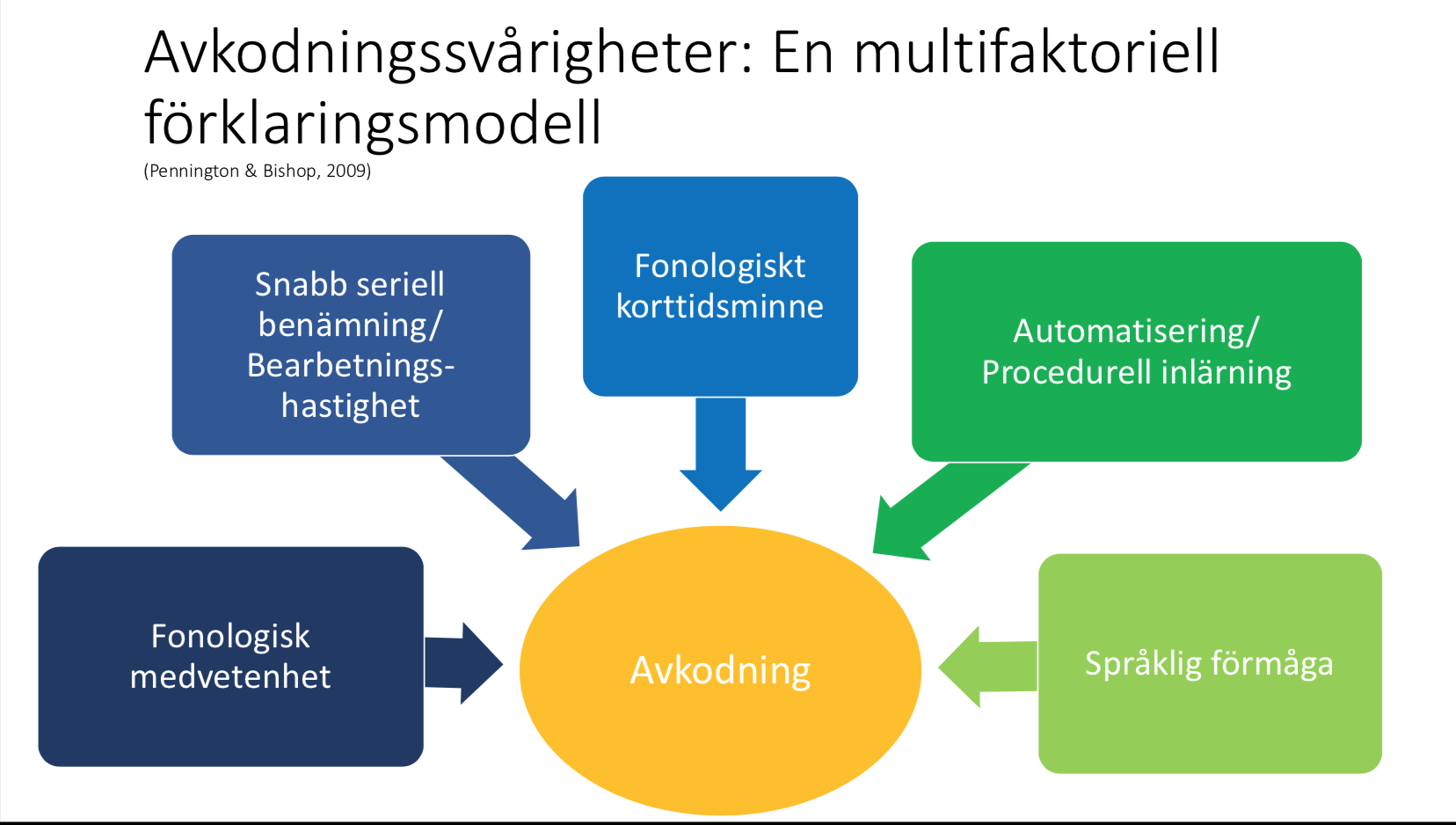 En multifaktoriell förklaringsmodell till avkodningssvårigheter/dyslexi (© Anna Eva Hallin, 2017)