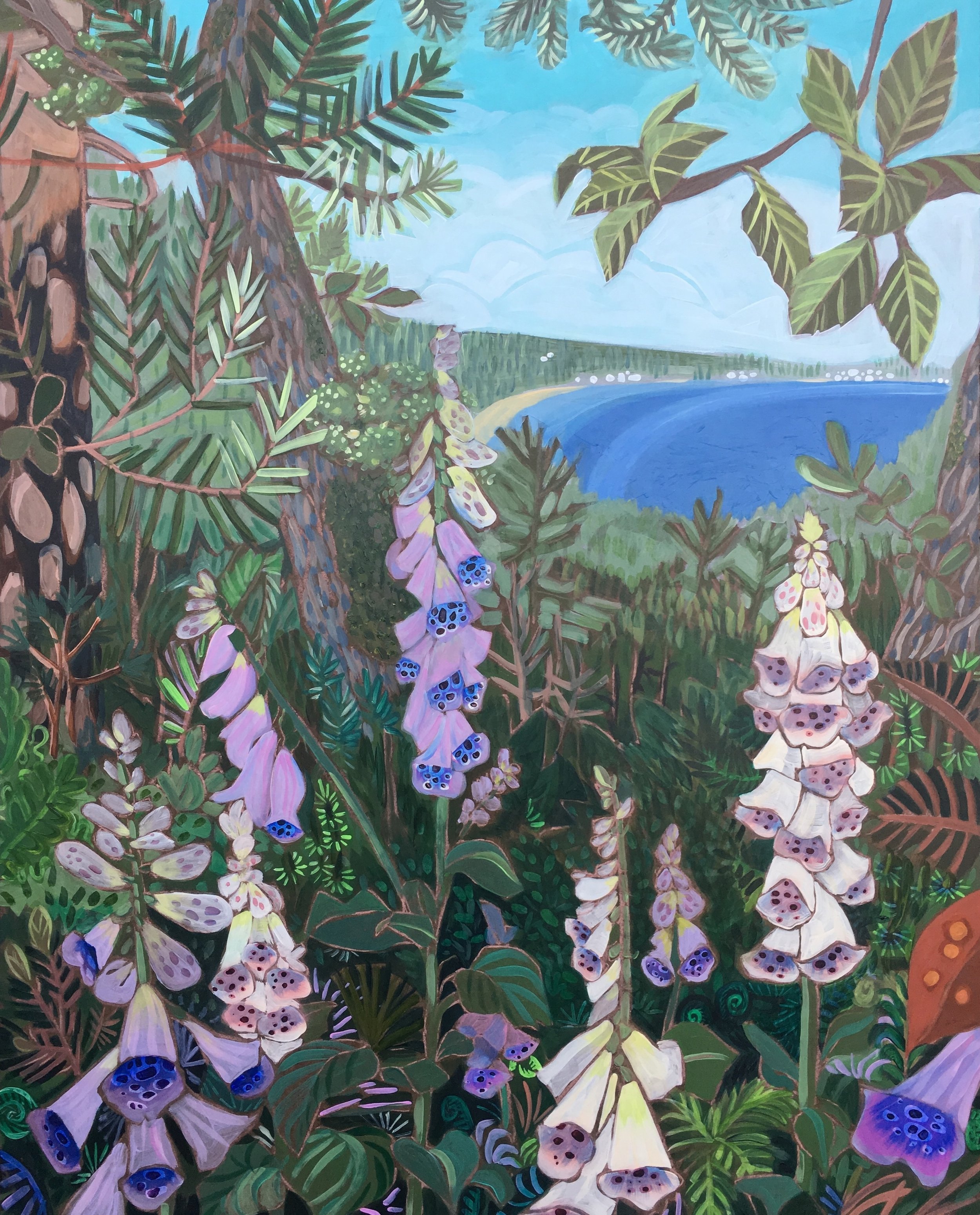 foxgloves forest copy.jpeg