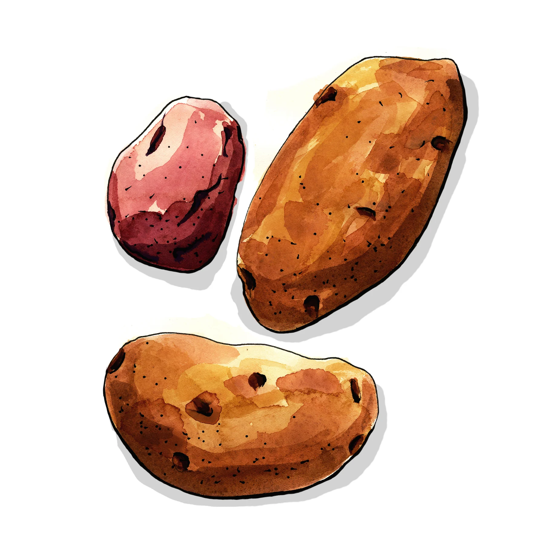 Potatoes.jpg