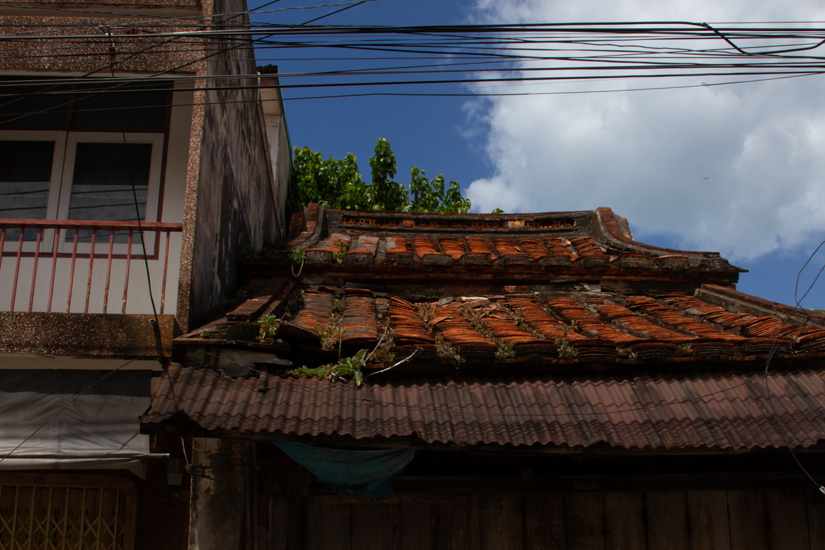 nedrow_seasia_website_005.jpg