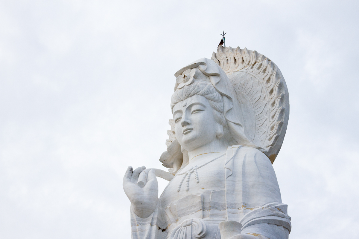 nedrow_seasia_website_008.jpg