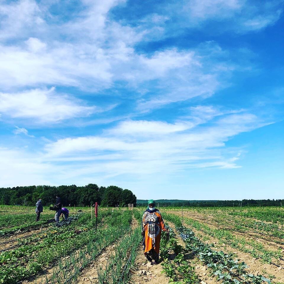 The long-standing dream for secure farmland is quickly becoming a reality for one group of immigrant farmers here in Maine. In May, the Somali Bantu Community Association (SBCA) and Agrarian Trust formed the Little Jubba Central Maine Agrarian Common