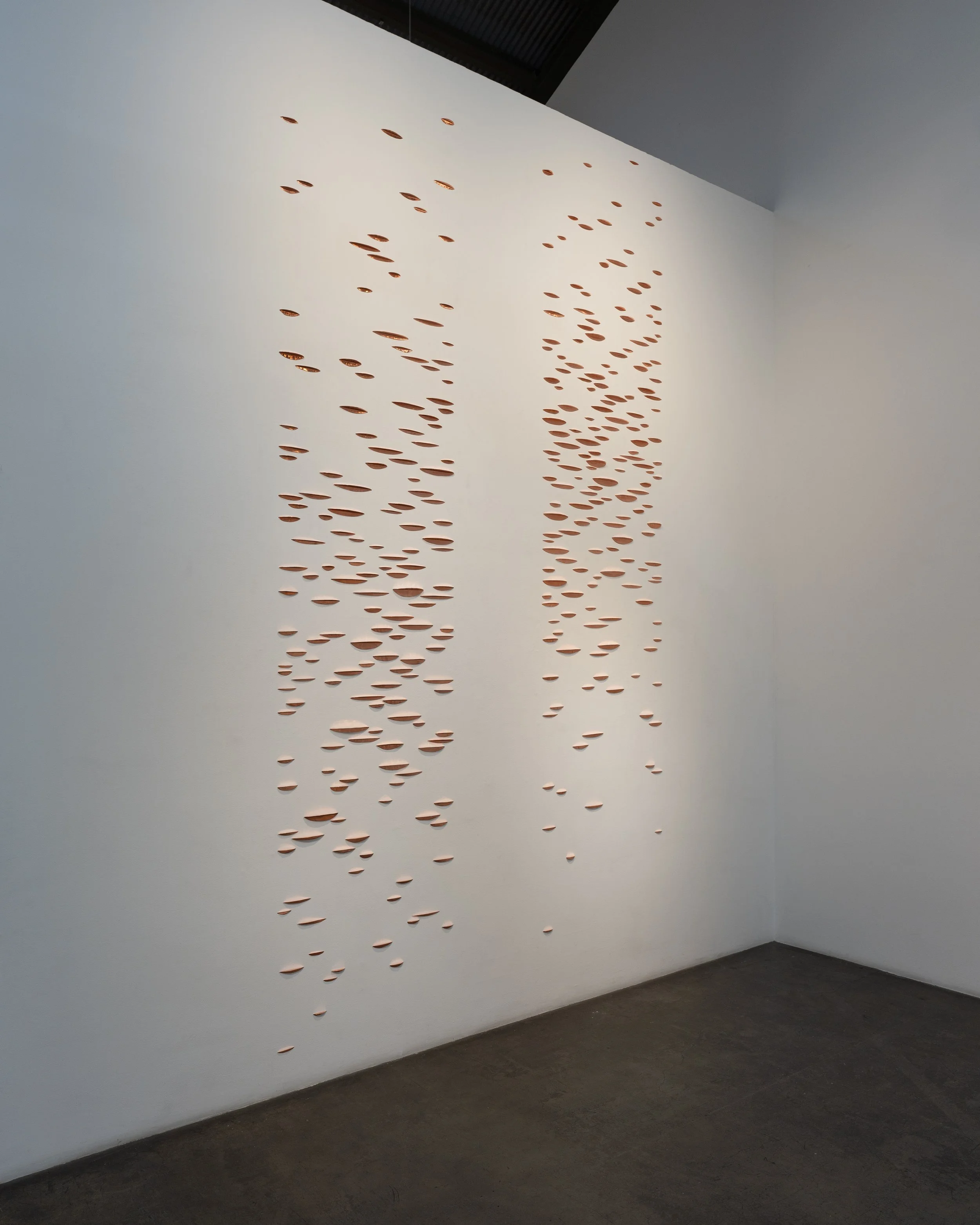 Conversational Nature-5.jpg