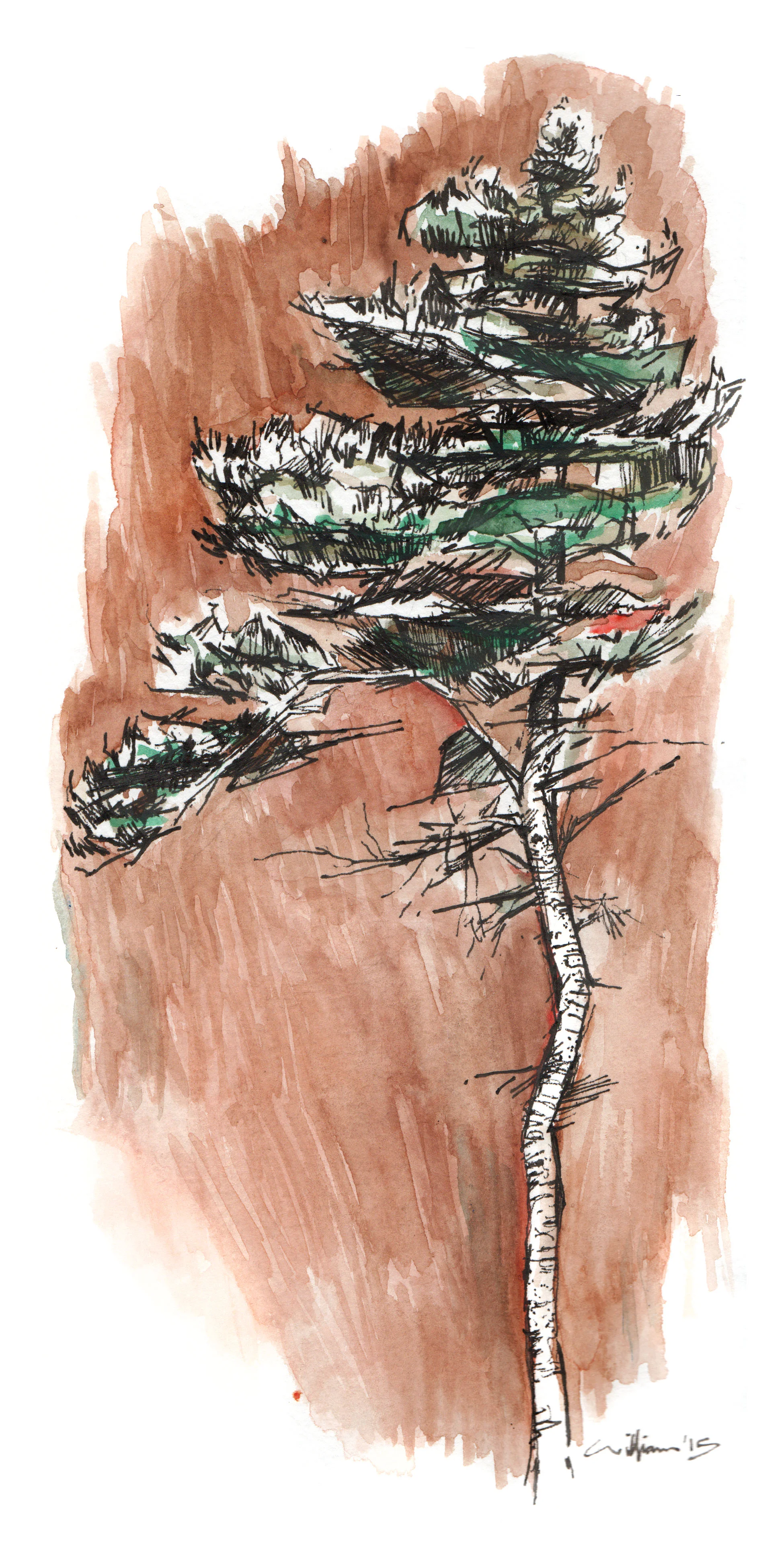 Pearl Pass II