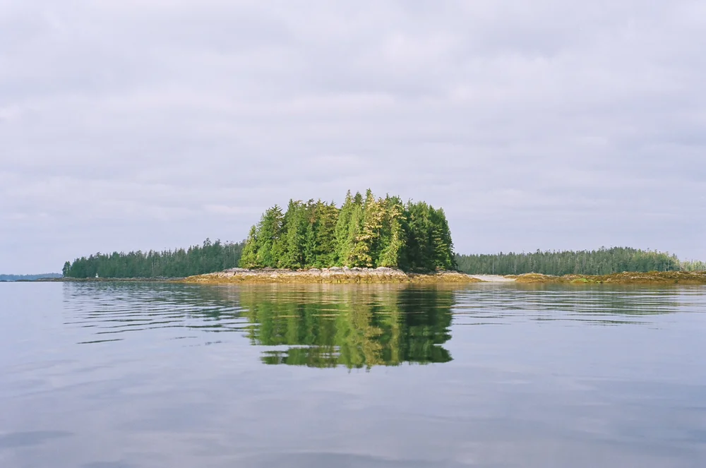 1-39.jpg