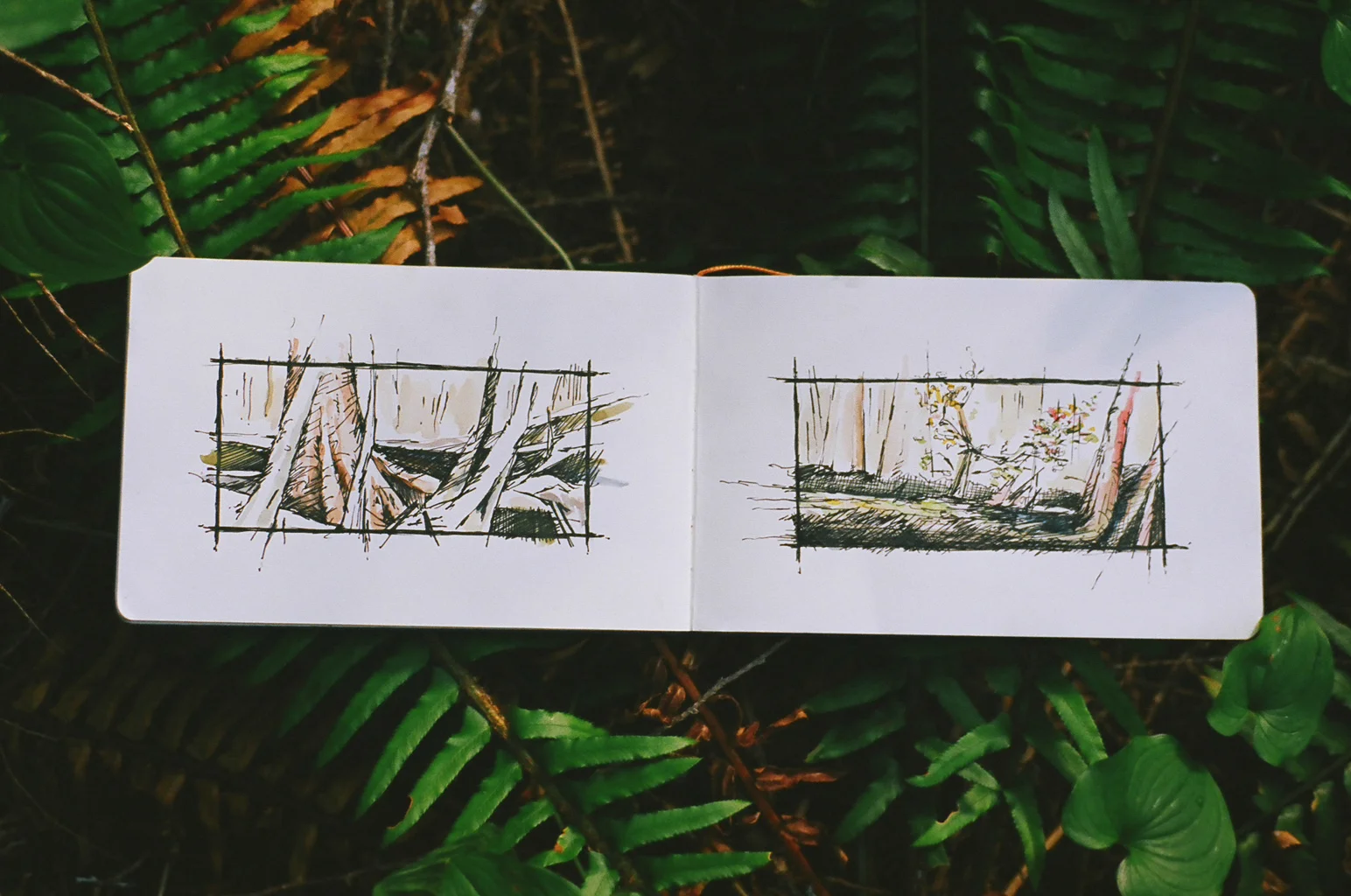 Drawings from a 30-day sea kayaking expedition in British Columbia.