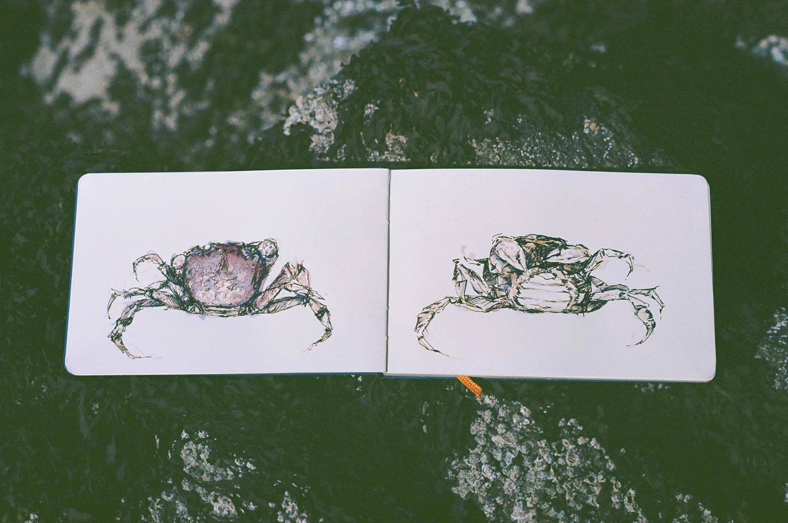 Drawings from a 30-day sea kayaking expedition in British Columbia.