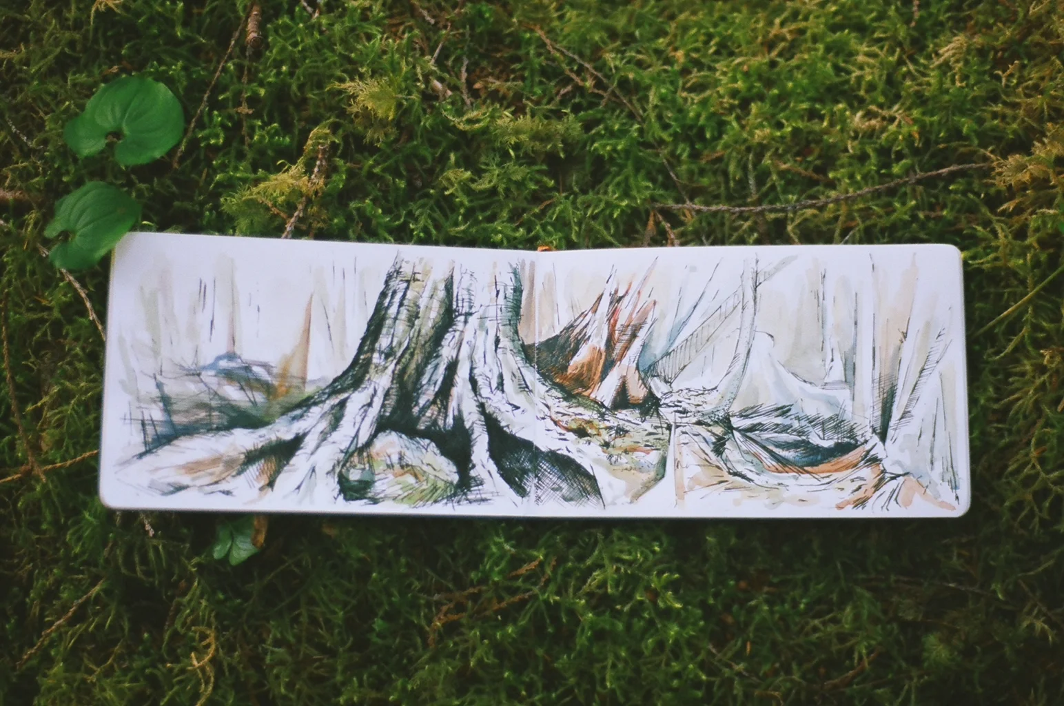 Drawings from a 30-day sea kayaking expedition in British Columbia.