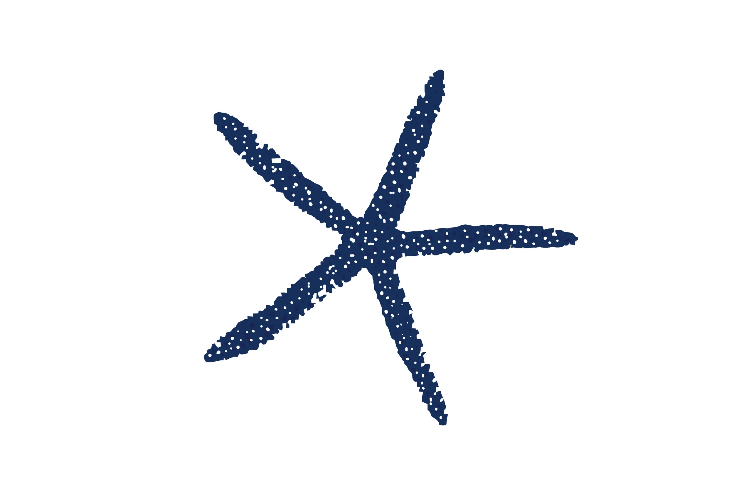 placematstarfishblu.jpg