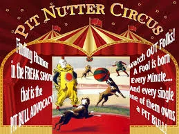 pit nutter circus.jpg