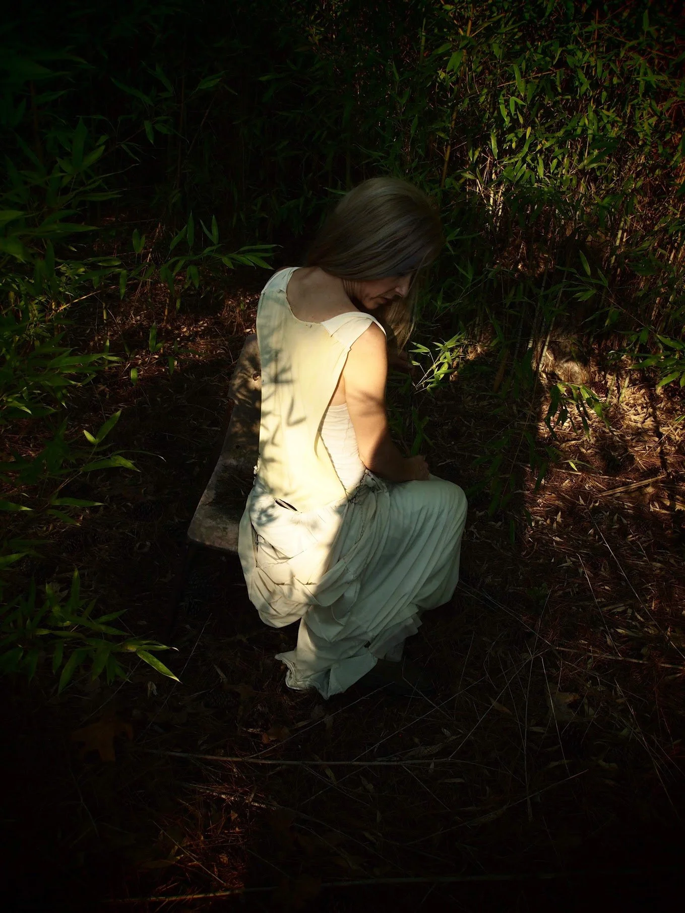 photos library - 5985.jpeg