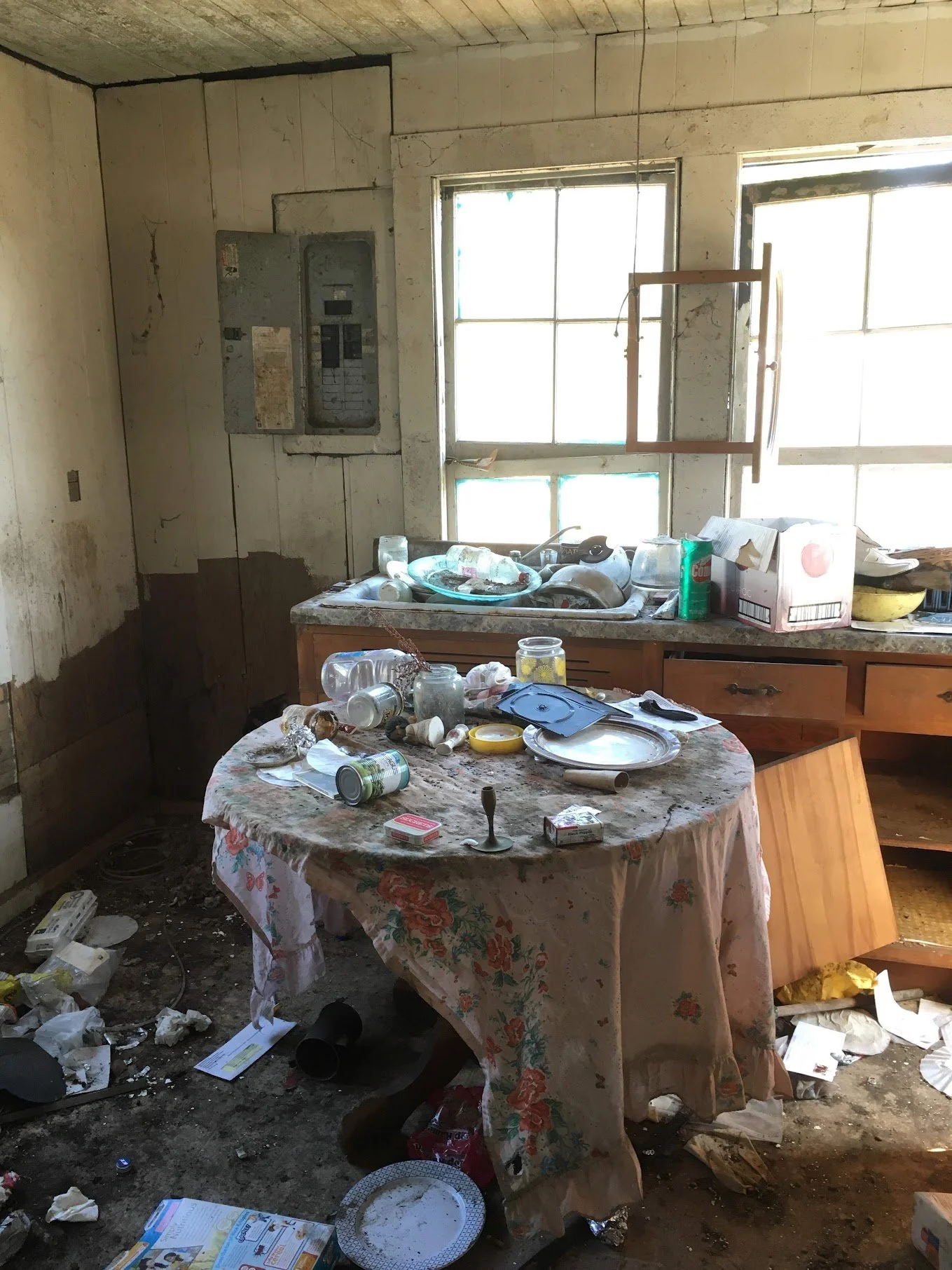 photos library - 3828.jpeg