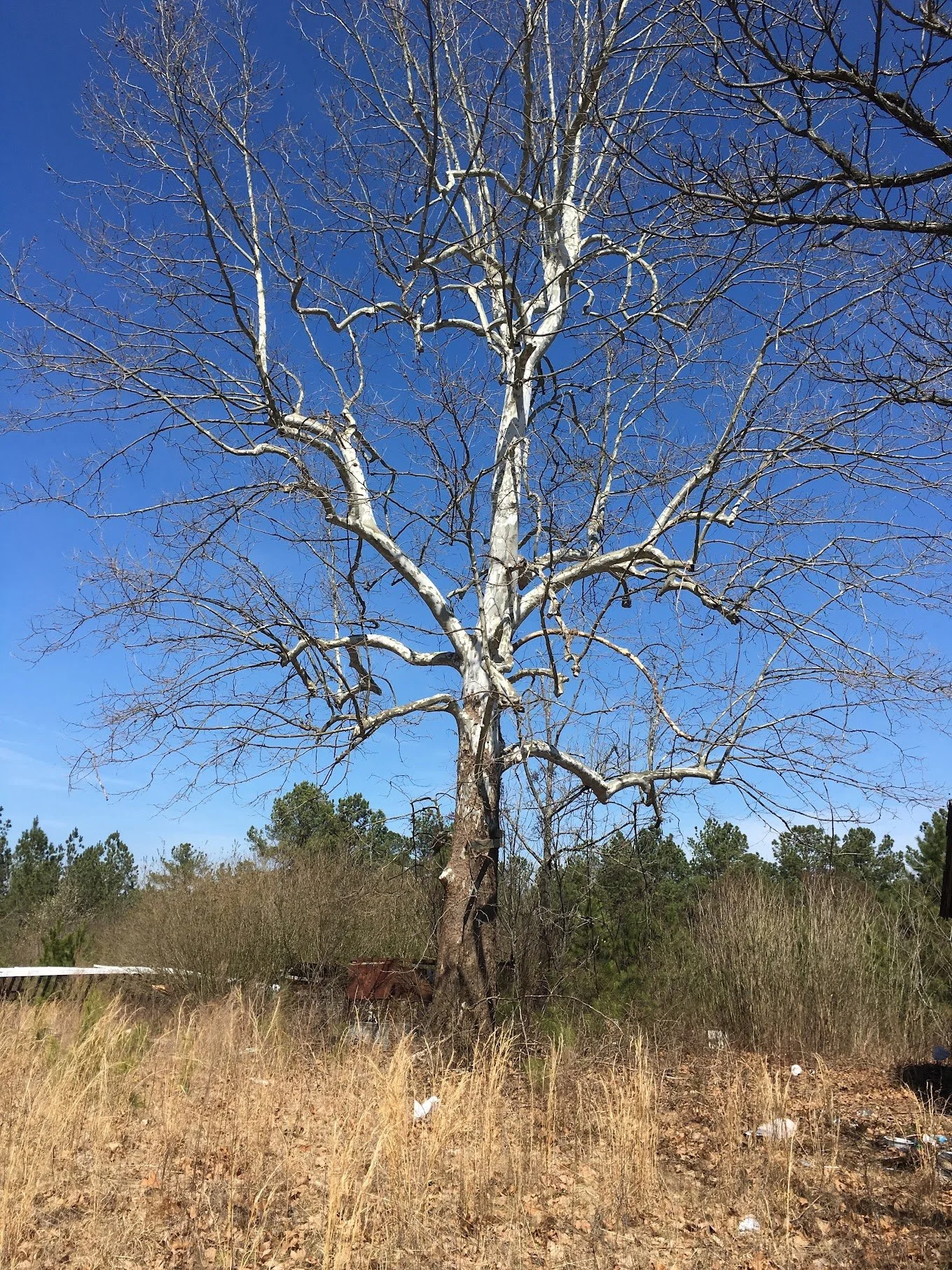 photos library - 3820.jpeg