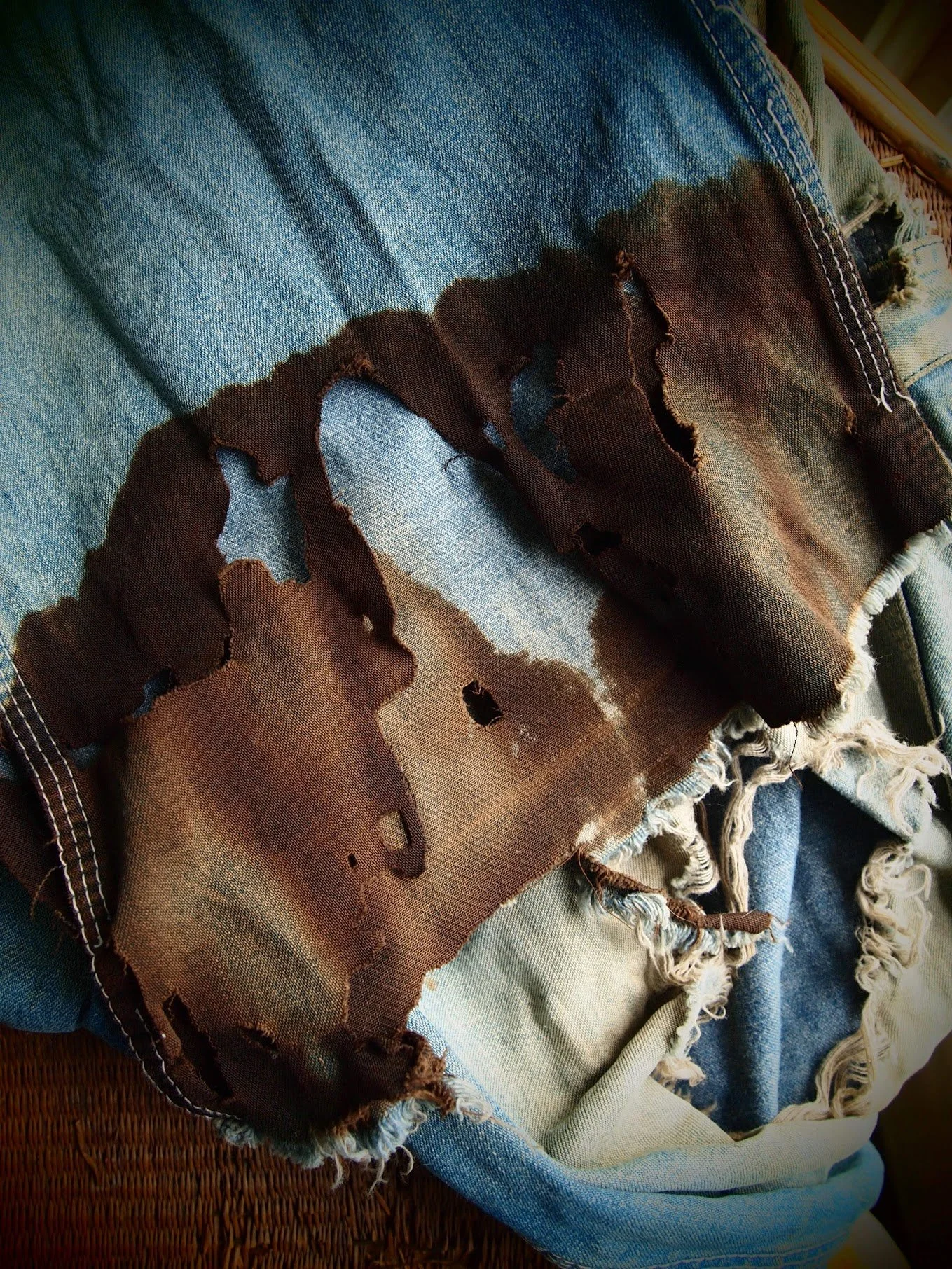 photos library - 699.jpeg