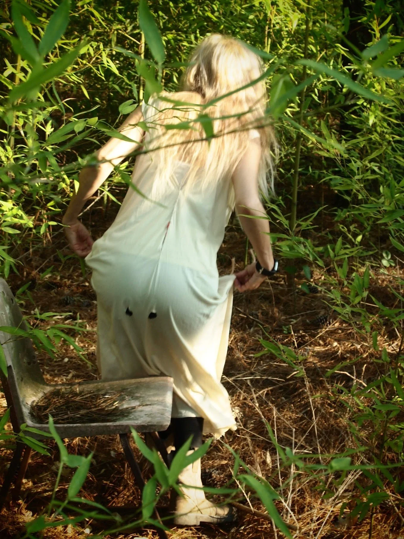 photos library - 5953.jpeg