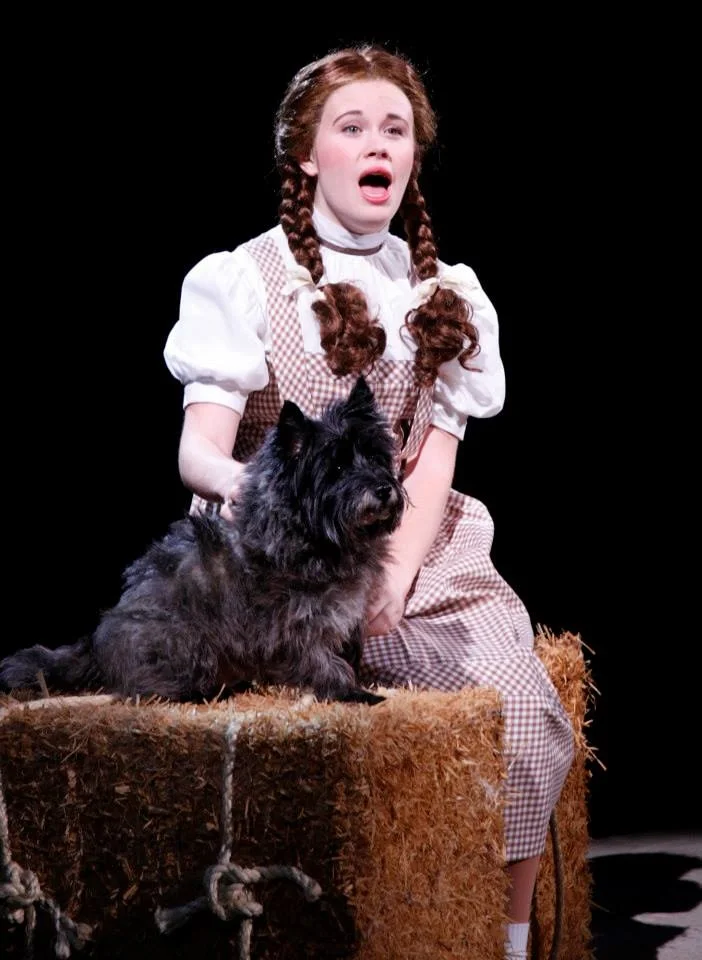 Danielle as Dorothy in North Shore Music Theatre's The Wizard of Oz accompanied by Nigel the rescue dog (2013). 