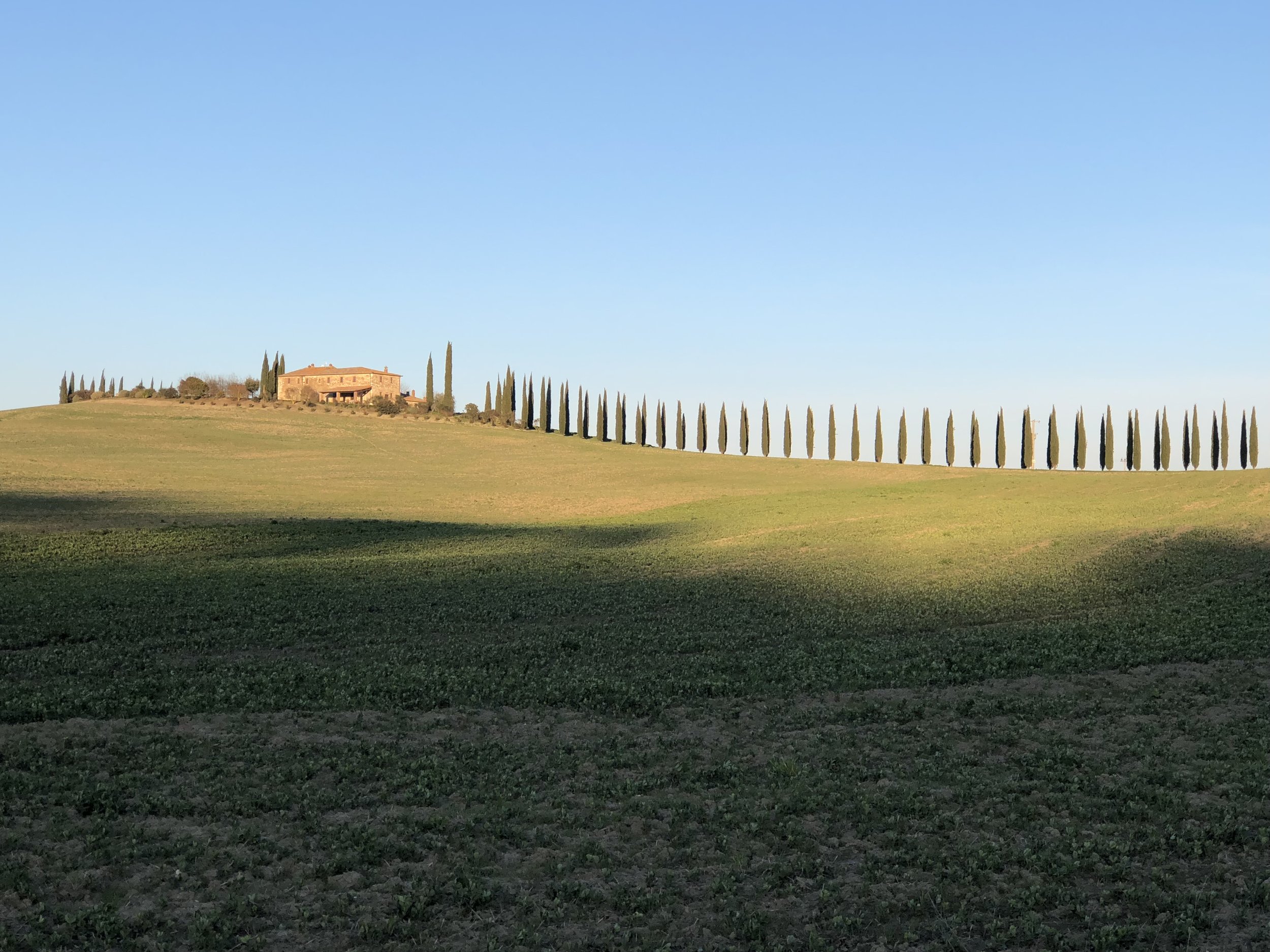 Snapshot from Val d'Orcia - famous for its rolling hills and cypress trees.  30 min drive from Chiusi.