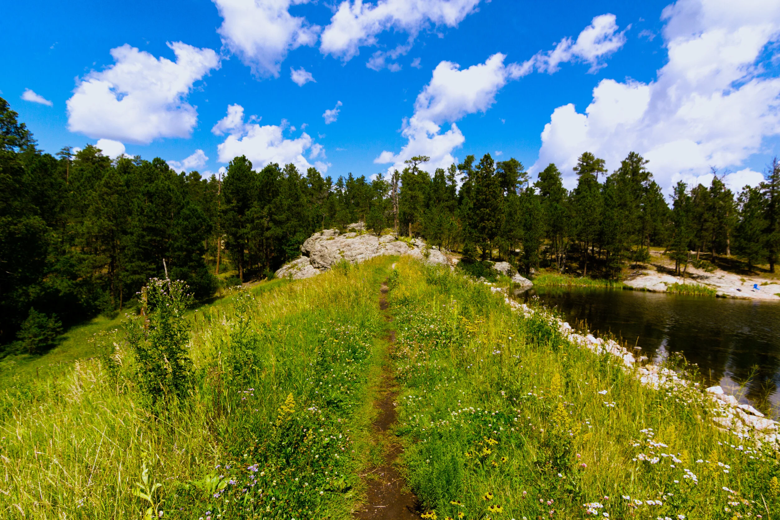 _MG_5863.jpg