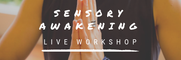 Sensory Awakening Workshop Live Workshop