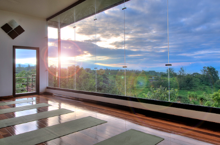 Lila Hall Jungle View.png