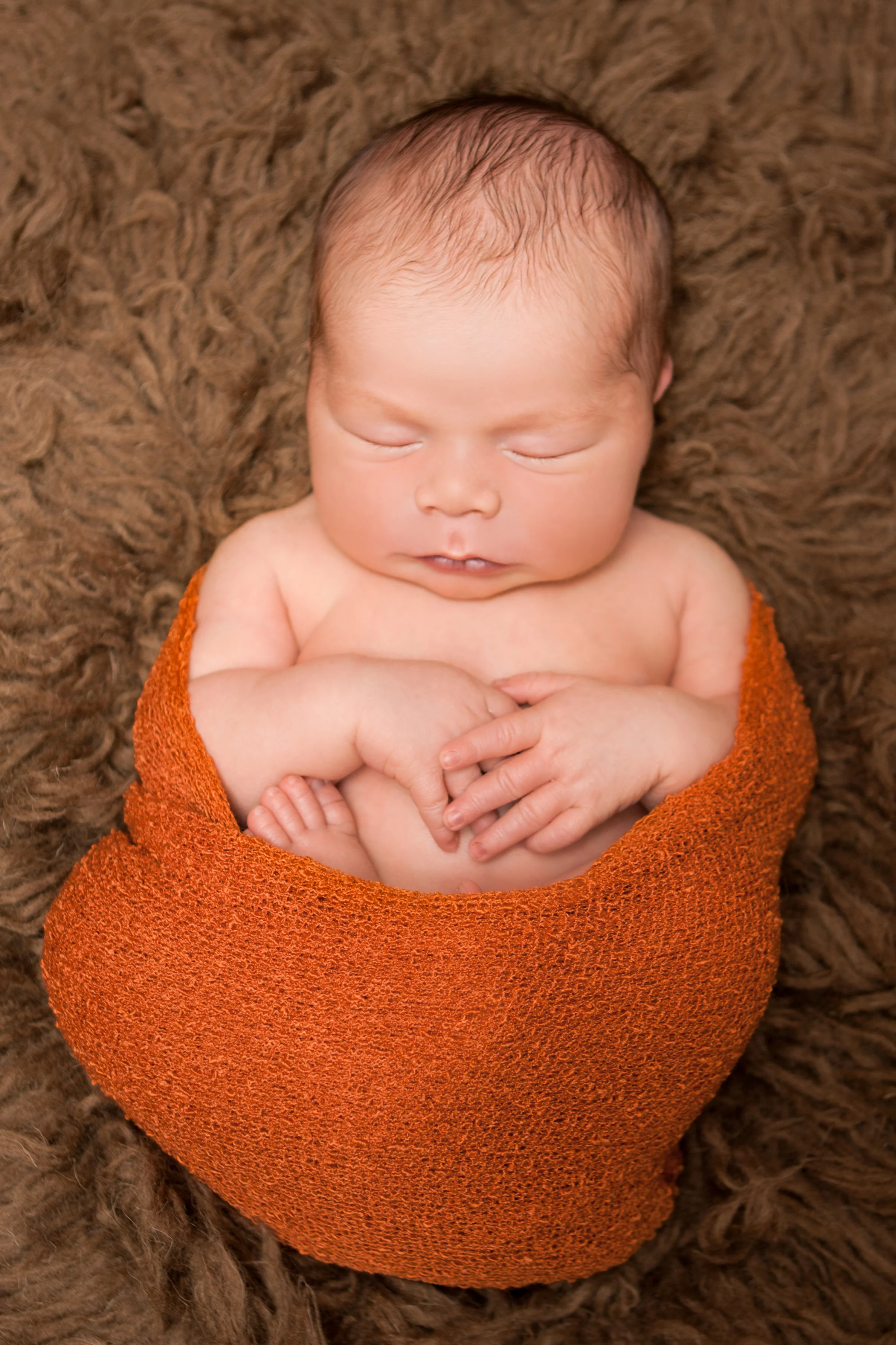 Newborn baby boy chubby, orange stretch knit wrap on brown flokati rug, Westchester County, New York newborn photographer, Amanda Noelle Photography.