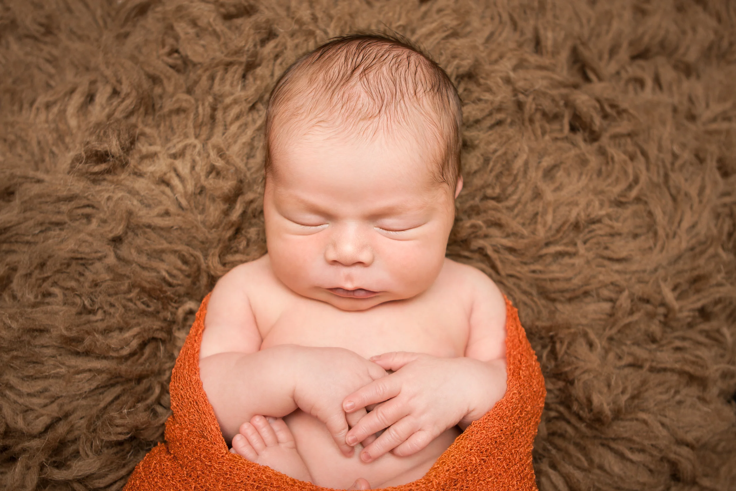 Newborn baby boy chubby, orange stretch knit wrap on brown flokati rug, Westchester County, New York newborn photographer, Amanda Noelle Photography.