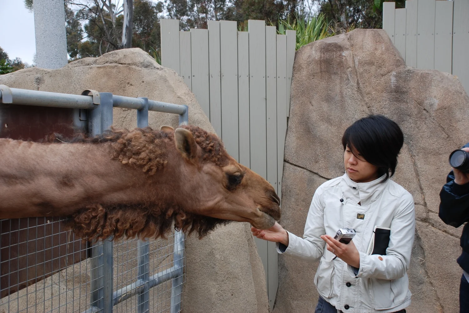 Informing beverage design