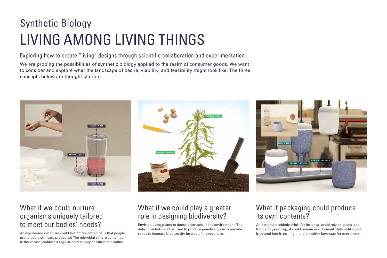 Synthetic Biology and Bioinformatics