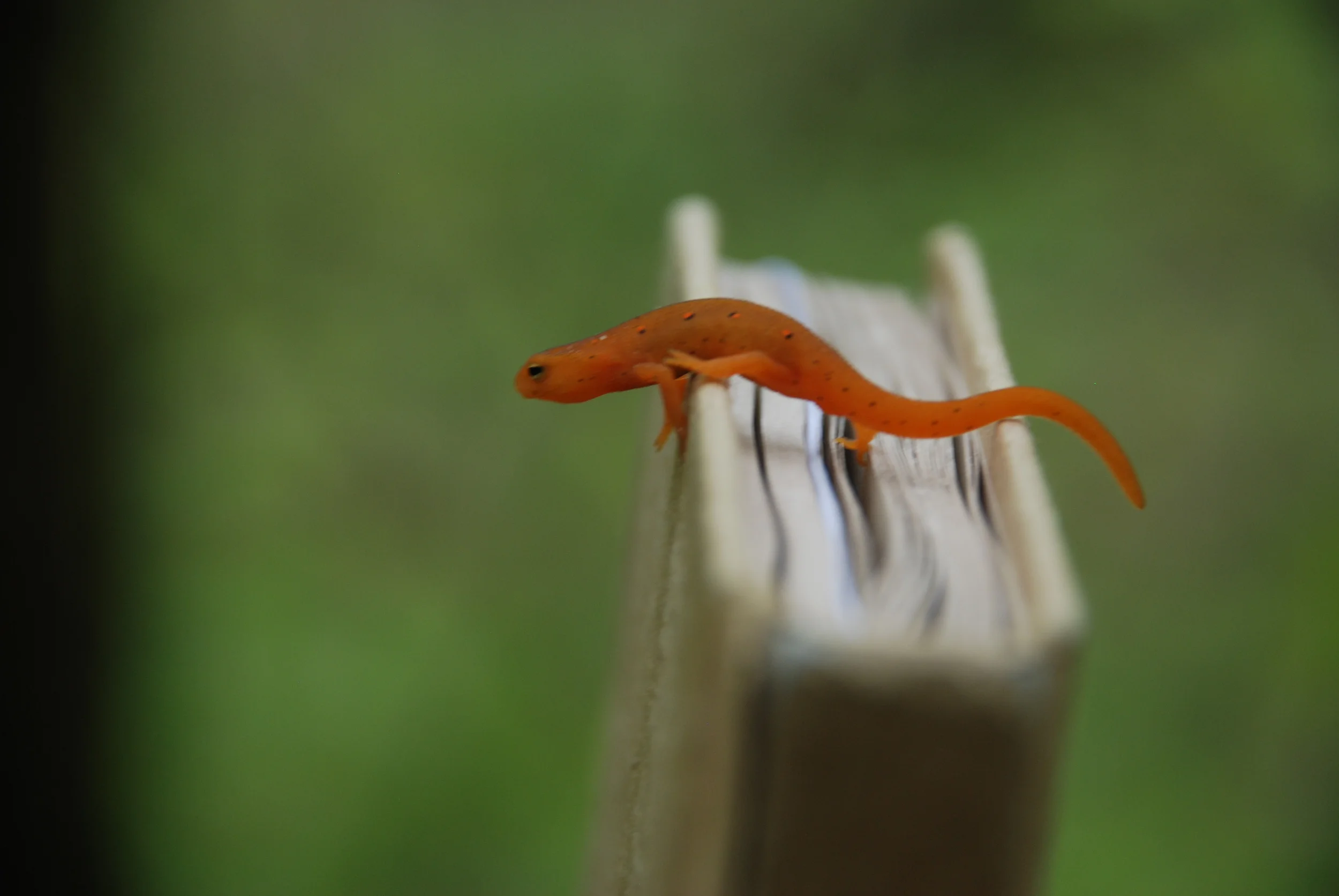 movement and Navigation 