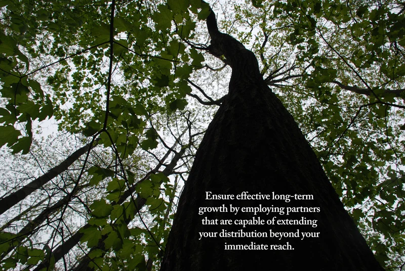 use readily available materials and energy