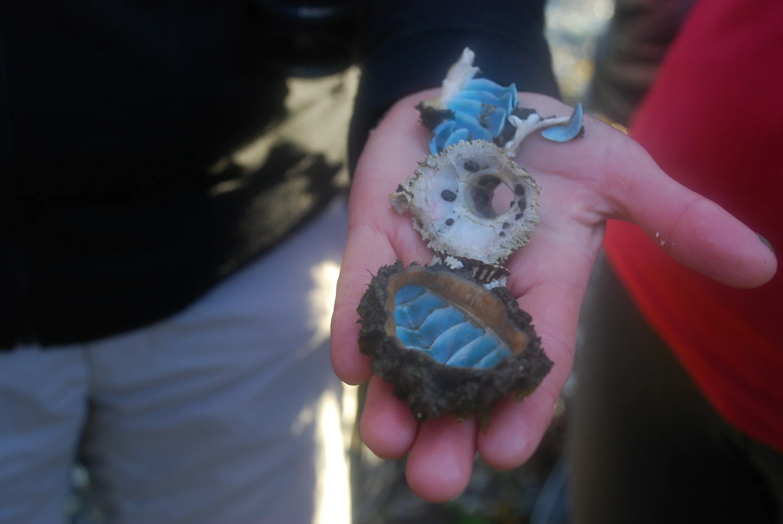 life-friendly chemistry