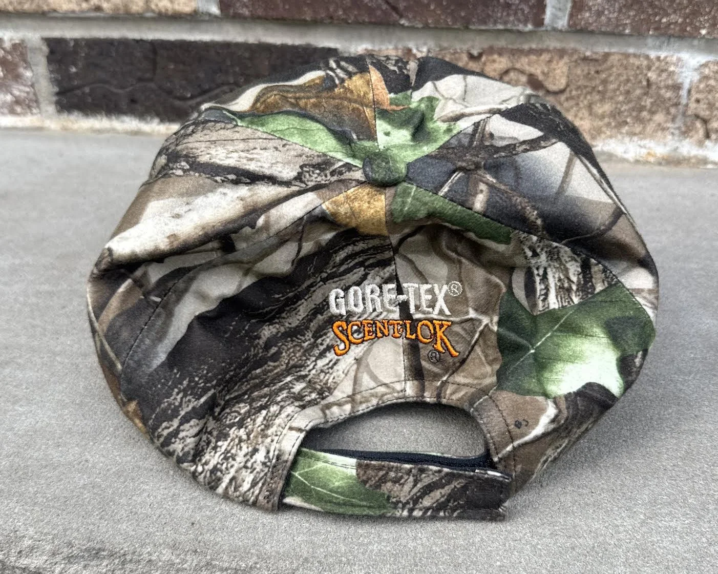 Back of Gore Cap.jpg