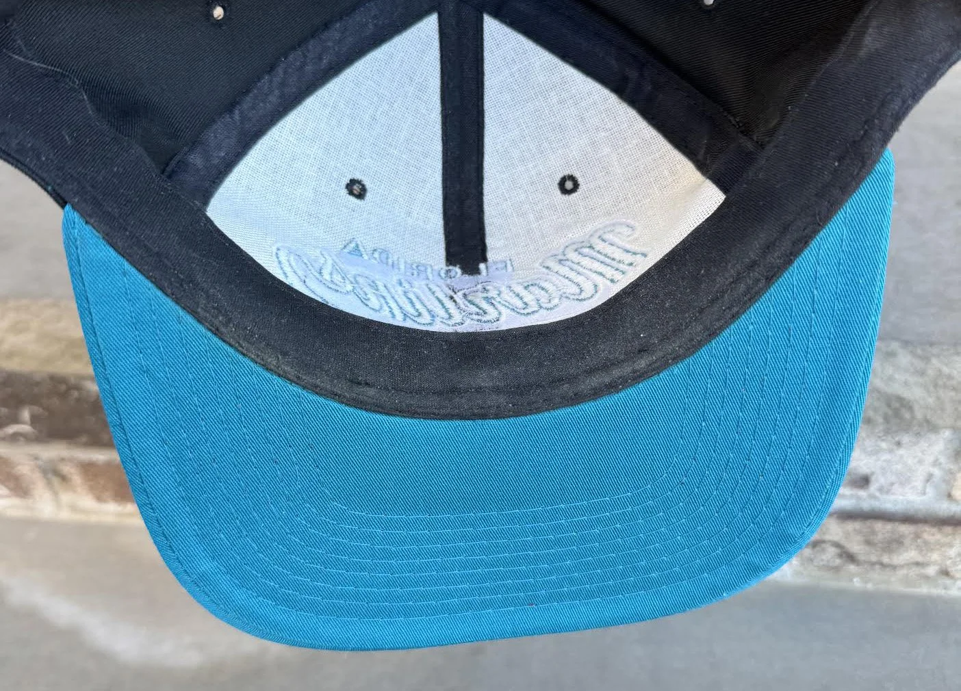 insid of starter lining .jpg