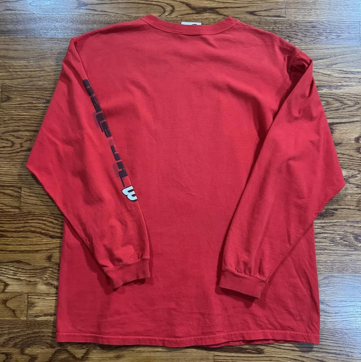 back of Dale Jr Tee.jpg