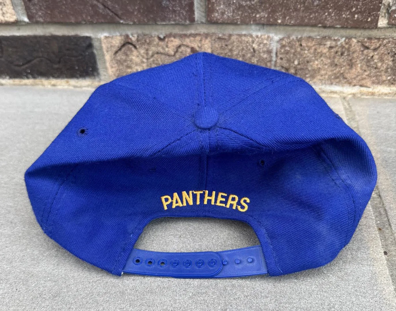 Back of Panthers hat.jpg