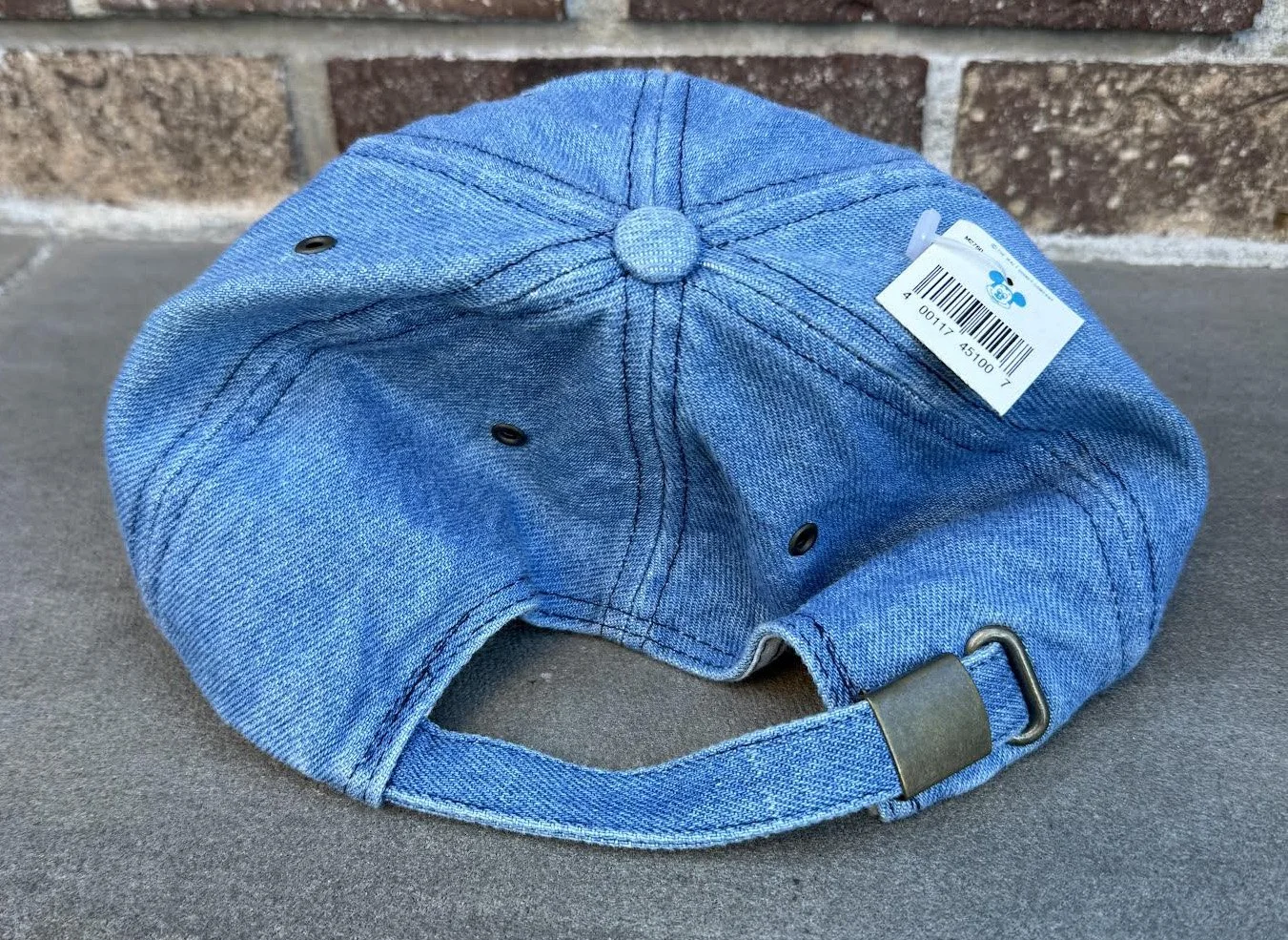 back of Donald Duck hat.jpg