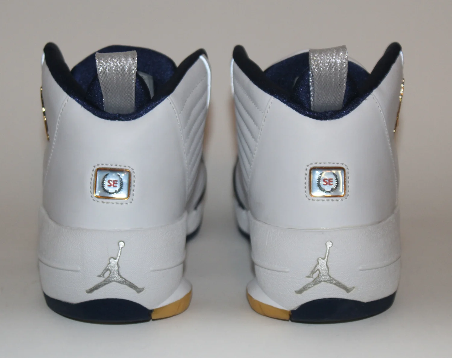 Air Jordan 19 XIX SE Olympic (Size 10.5) — RootsBK