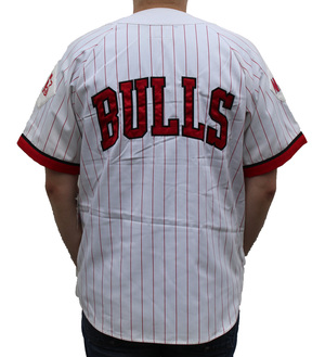 Vintage Starter Chicago Bulls Baseball Jersey (Size L) NWT — Roots