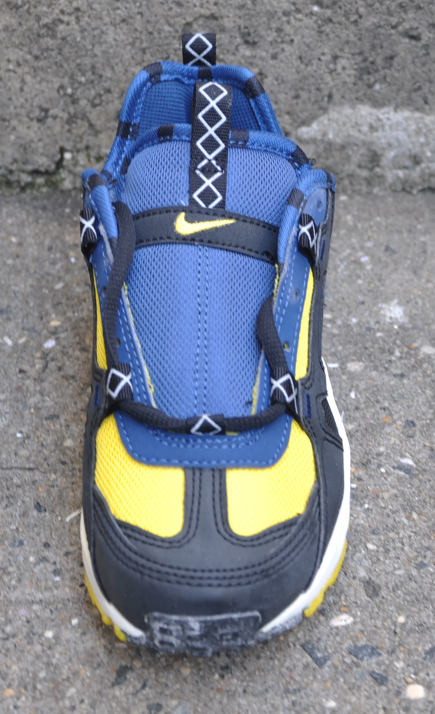 Nike Terra Train navy and lightning